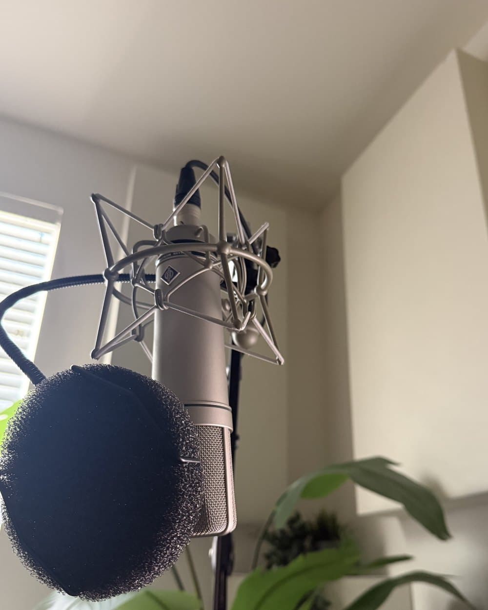 Neumann U87ai on a shockmount in Dylan Kline's treated San Diego voiceover studio
